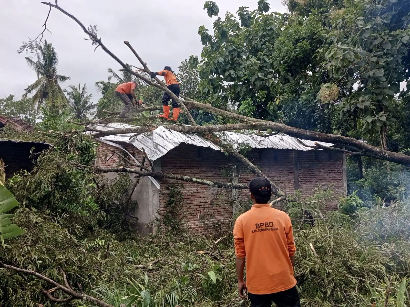Perkembangan Situasi dan Penanganan Bencana Tanggal 10 Februari